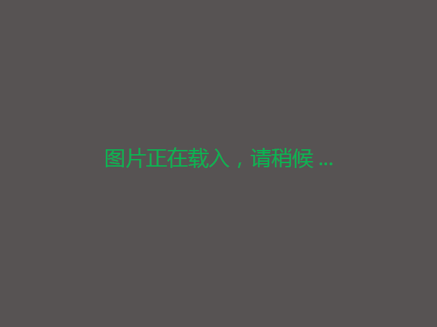 南寧西鄉(xiāng)塘金陵2025畝有林地出租，30年年限